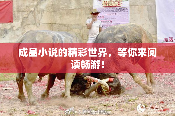 成品小说的精彩世界，等你来阅读畅游！