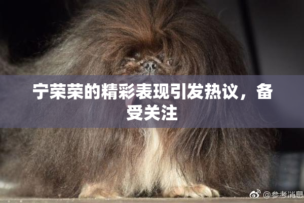 宁荣荣的精彩表现引发热议，备受关注