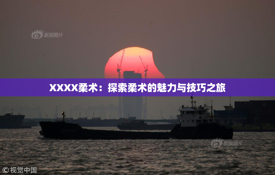 XXXX柔术：探索柔术的魅力与技巧之旅