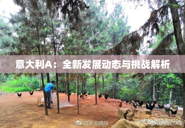 意大利A：全新发展动态与挑战解析