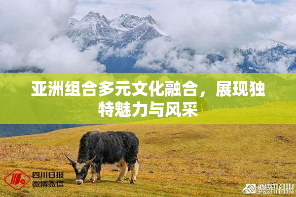 亚洲组合多元文化融合，展现独特魅力与风采