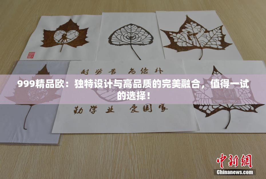 999精品欧：独特设计与高品质的完美融合，值得一试的选择！