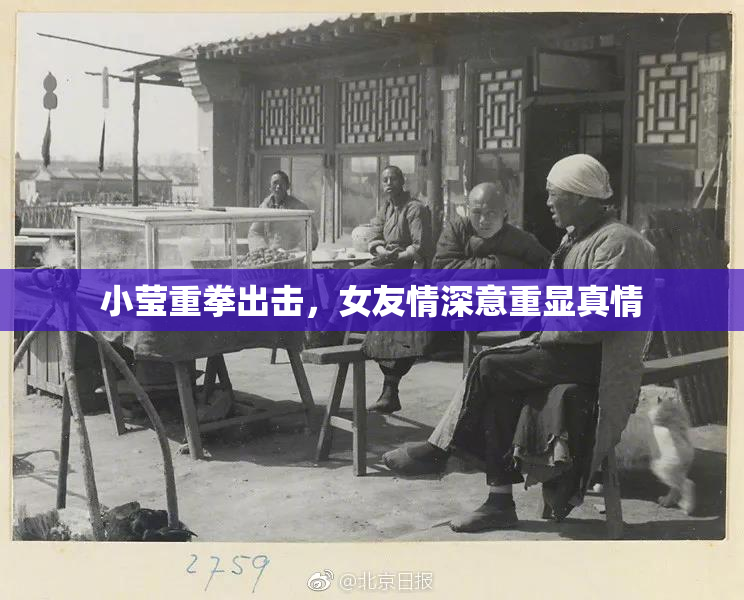 小莹重拳出击，女友情深意重显真情
