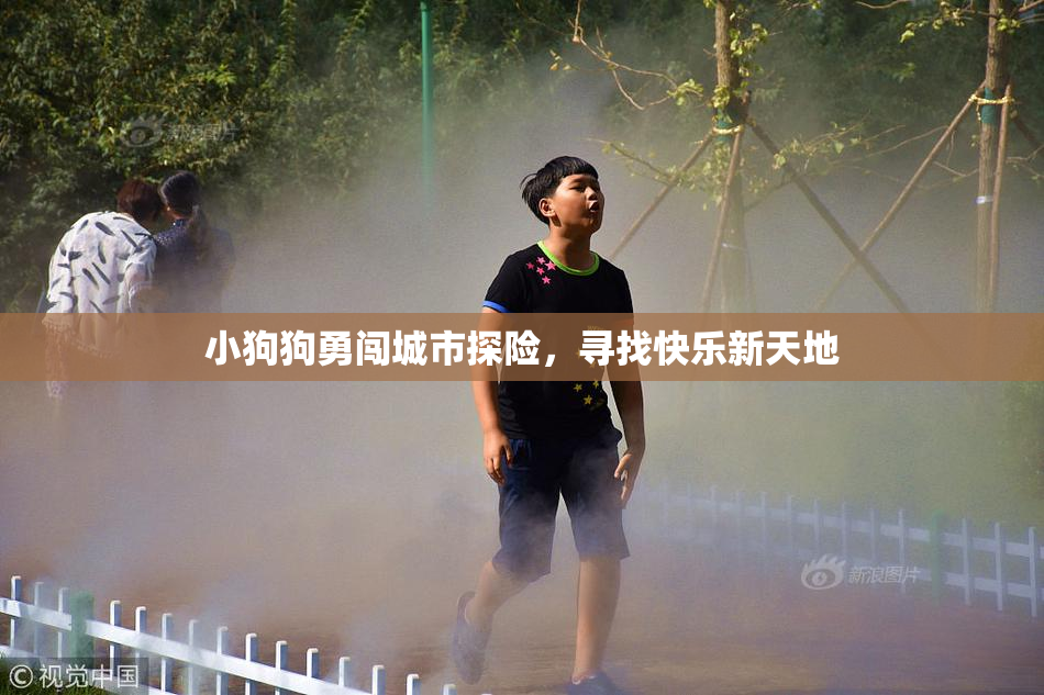 小狗狗勇闯城市探险，寻找快乐新天地