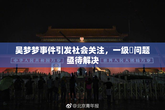吴梦梦事件引发社会关注，一级婬问题亟待解决