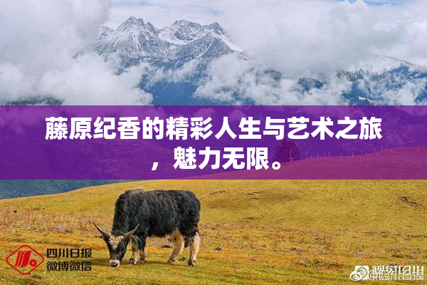 藤原纪香的精彩人生与艺术之旅，魅力无限。