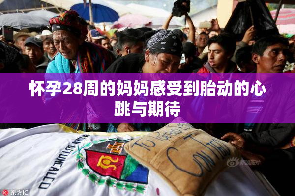 怀孕28周的妈妈感受到胎动的心跳与期待