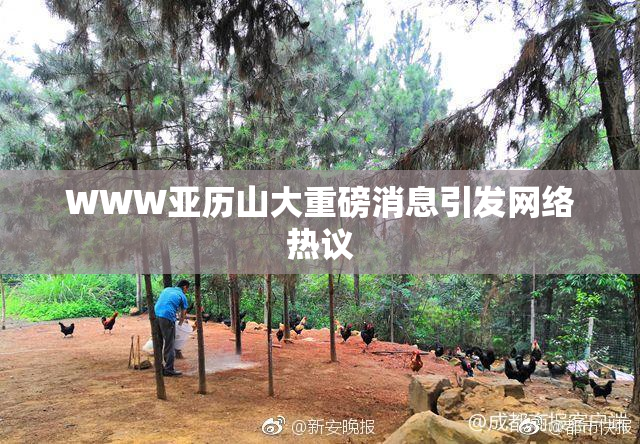 WWW亚历山大重磅消息引发网络热议