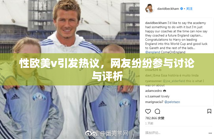 性欧美v引发热议，网友纷纷参与讨论与评析