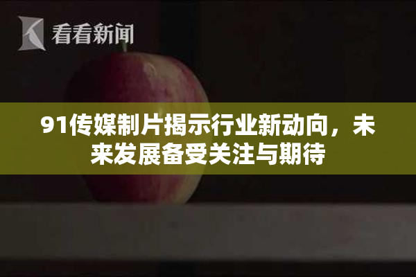 91传媒制片揭示行业新动向，未来发展备受关注与期待