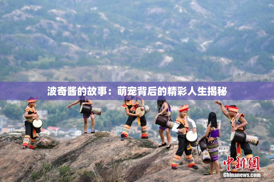 波奇酱的故事：萌宠背后的精彩人生揭秘