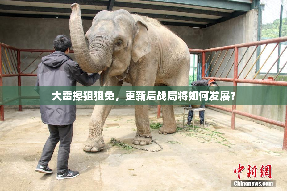 大雷擦狙狙免，更新后战局将如何发展？