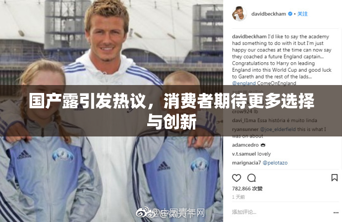 国产露引发热议，消费者期待更多选择与创新