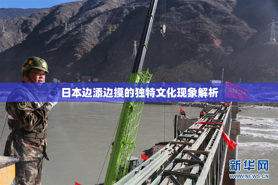 日本边添边摸的独特文化现象解析