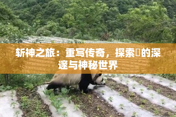 斩神之旅：重写传奇，探索婬的深邃与神秘世界