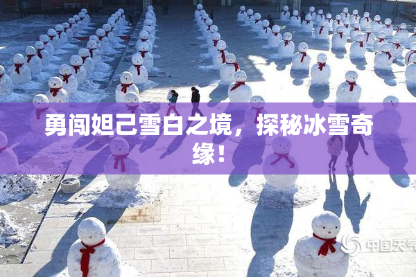 勇闯妲己雪白之境，探秘冰雪奇缘！