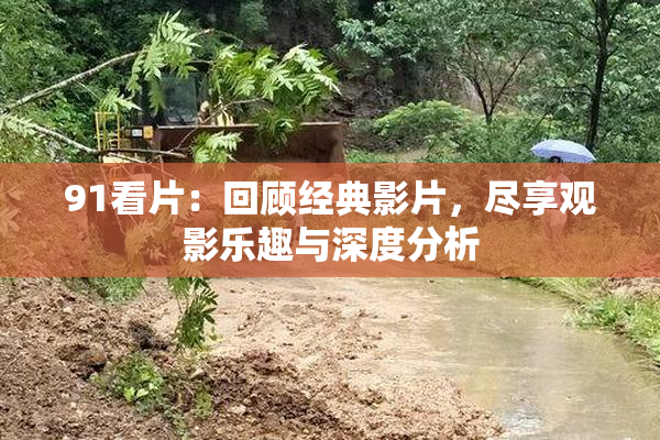 91看片：回顾经典影片，尽享观影乐趣与深度分析