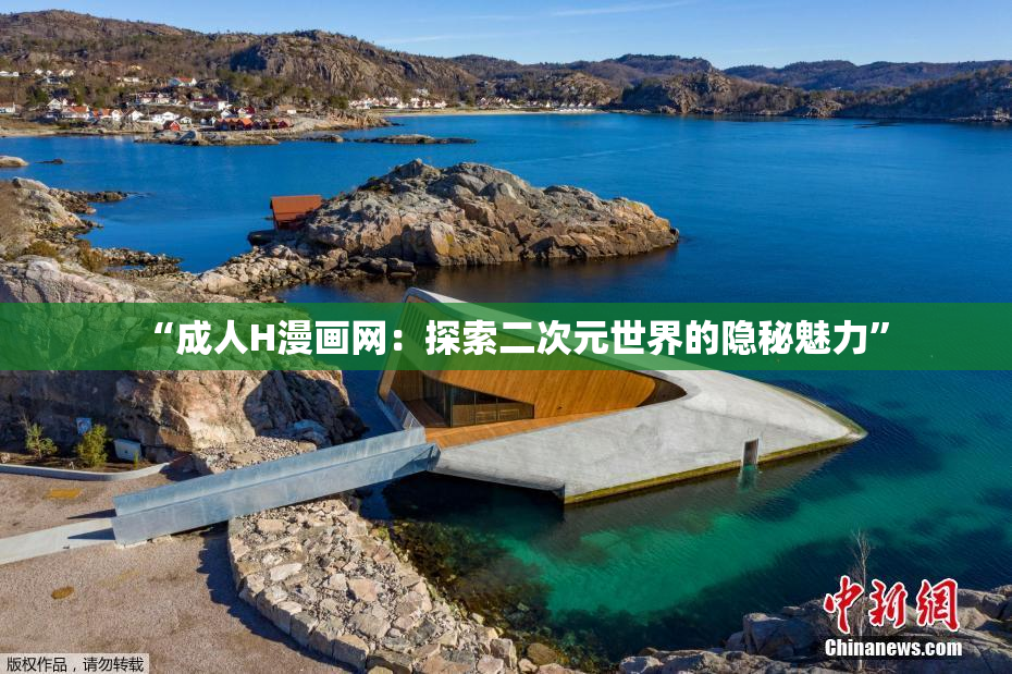 “成人H漫画网：探索二次元世界的隐秘魅力”