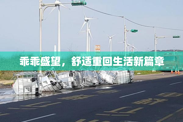 乖乖盛望，舒适重回生活新篇章