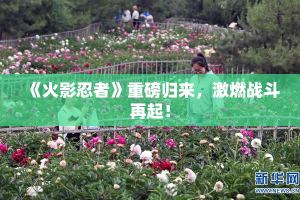 《火影忍者》重磅归来，激燃战斗再起！