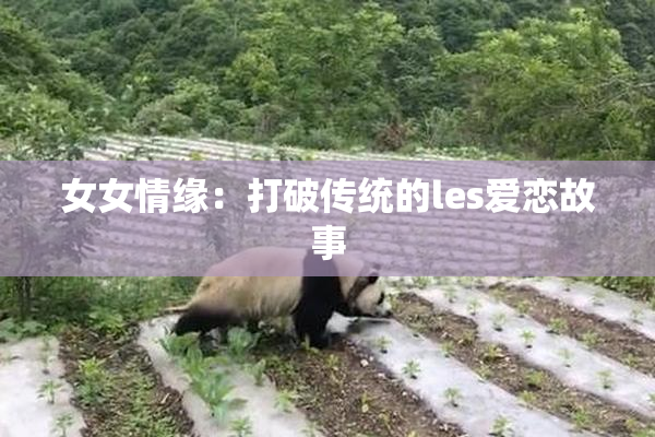 女女情缘：打破传统的les爱恋故事