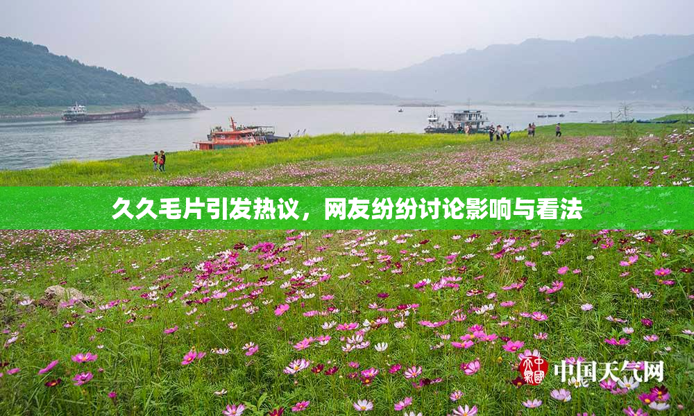 久久毛片引发热议，网友纷纷讨论影响与看法