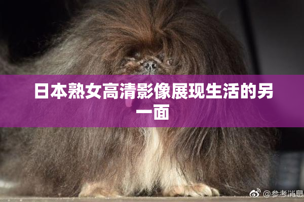 日本熟女高清影像展现生活的另一面