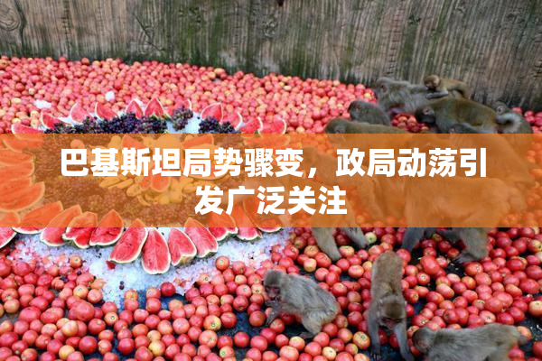 巴基斯坦局势骤变，政局动荡引发广泛关注