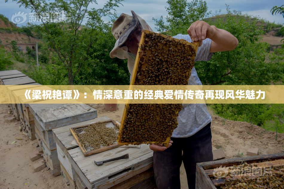 《梁祝艳谭》：情深意重的经典爱情传奇再现风华魅力