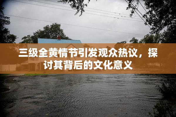 三级全黄情节引发观众热议，探讨其背后的文化意义