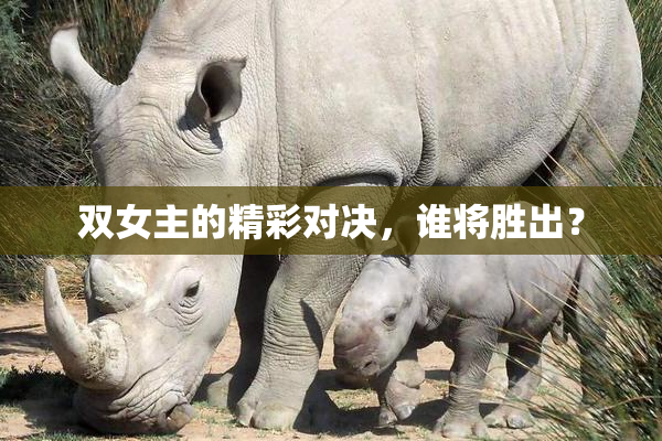 双女主的精彩对决，谁将胜出？