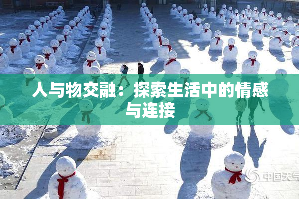 人与物交融：探索生活中的情感与连接