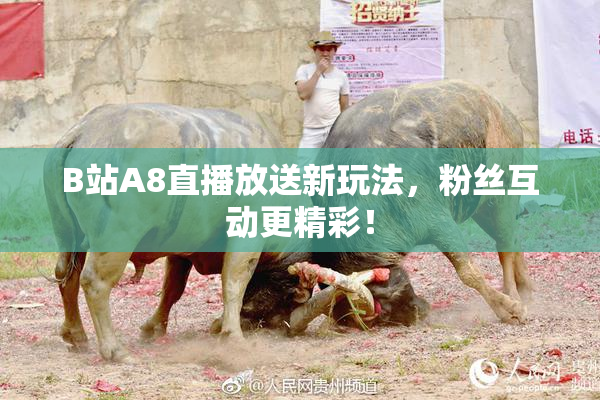 B站A8直播放送新玩法，粉丝互动更精彩！