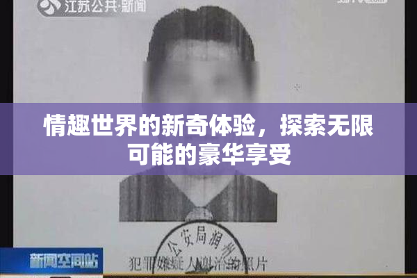 情趣世界的新奇体验，探索无限可能的豪华享受