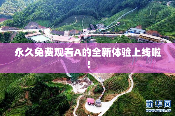 永久免费观看A的全新体验上线啦！
