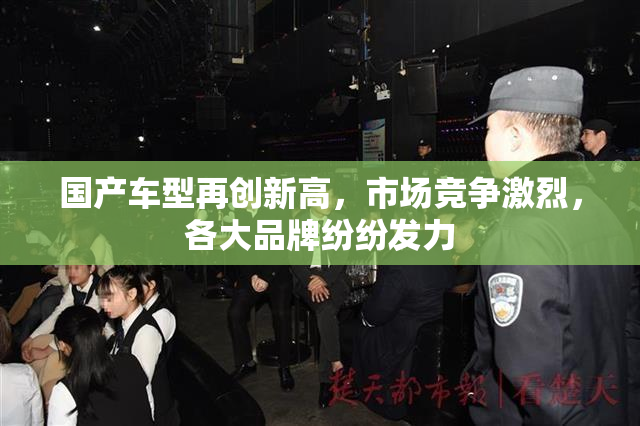国产车型再创新高，市场竞争激烈，各大品牌纷纷发力
