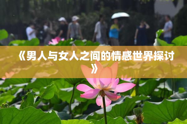 《男人与女人之间的情感世界探讨》