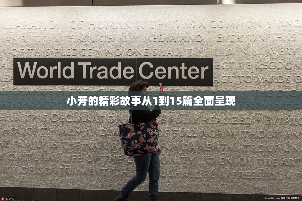 小芳的精彩故事从1到15篇全面呈现