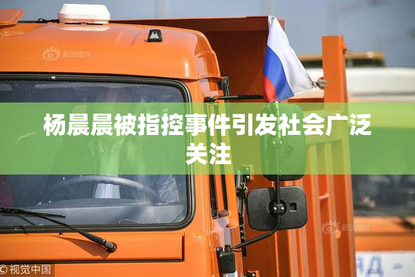杨晨晨被指控事件引发社会广泛关注