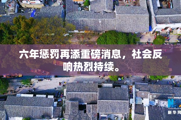 六年惩罚再添重磅消息，社会反响热烈持续。