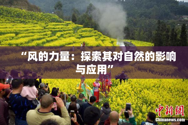 “风的力量：探索其对自然的影响与应用”