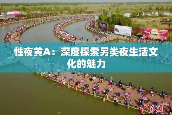 性夜黄A：深度探索另类夜生活文化的魅力