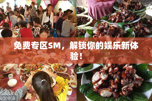 免费专区SM，解锁你的娱乐新体验！