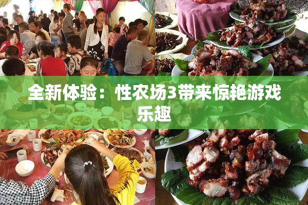 全新体验：性农场3带来惊艳游戏乐趣