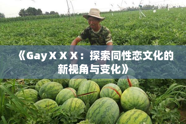 《GayⅩⅩⅩ：探索同性恋文化的新视角与变化》