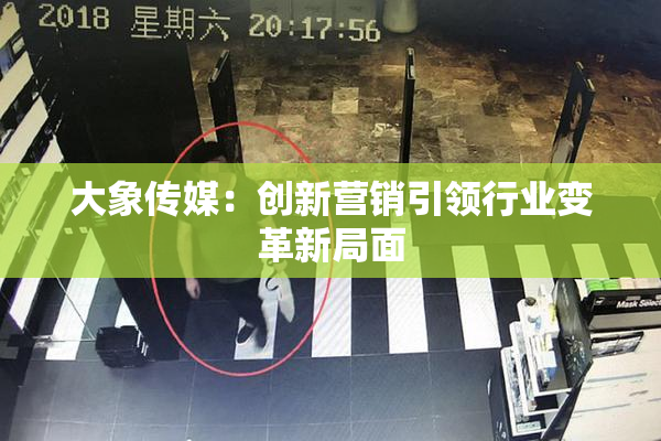 大象传媒：创新营销引领行业变革新局面