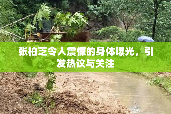 张柏芝令人震惊的身体曝光，引发热议与关注