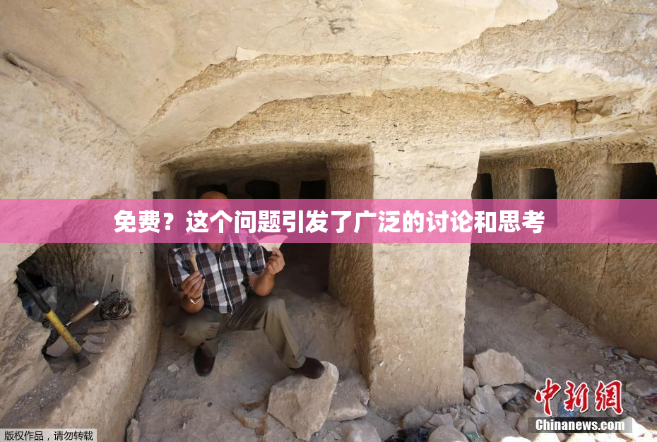 免费？这个问题引发了广泛的讨论和思考
