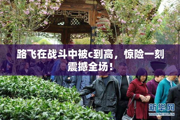 路飞在战斗中被c到高，惊险一刻震撼全场！