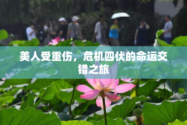 美人受重伤，危机四伏的命运交错之旅